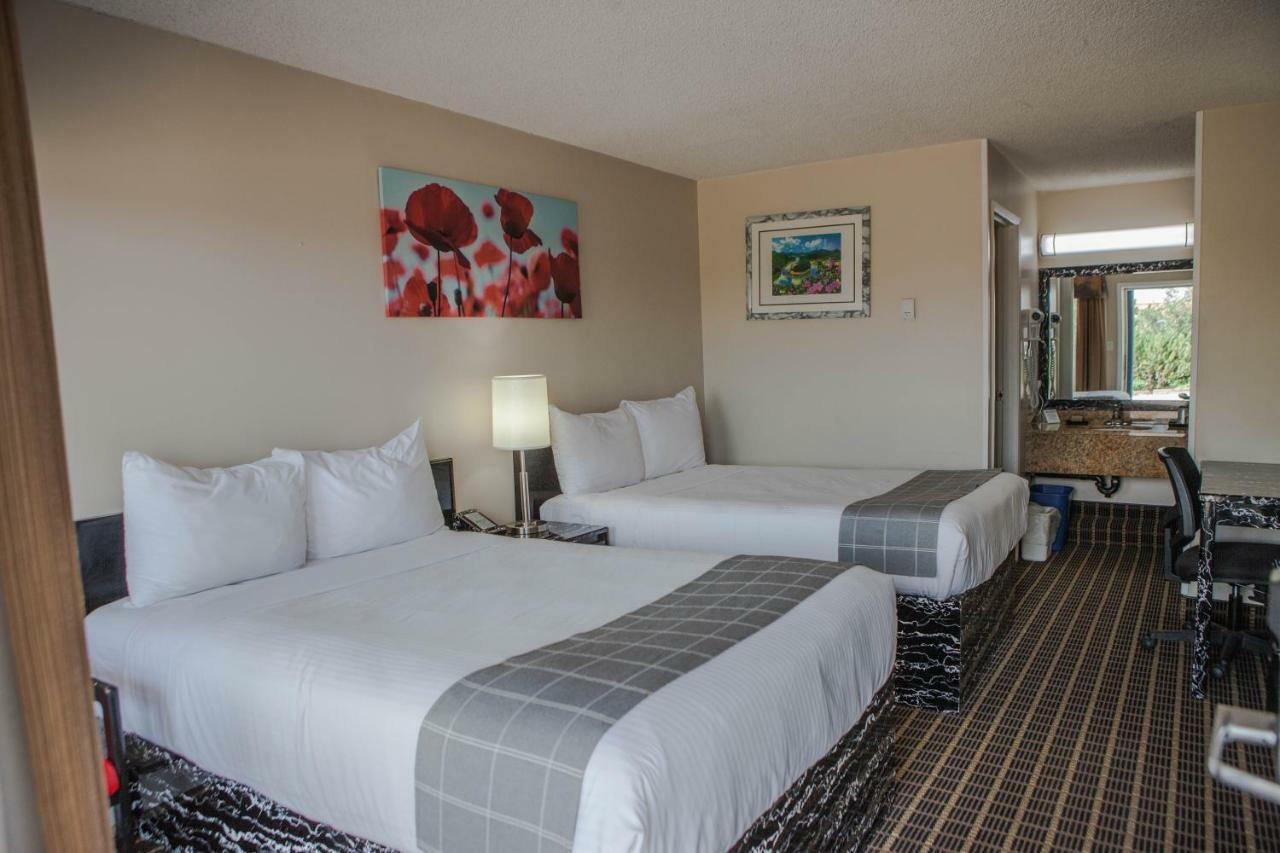 Canadian Motel North Battleford Zewnętrze zdjęcie